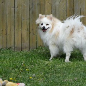 Meet your Posher, Kim